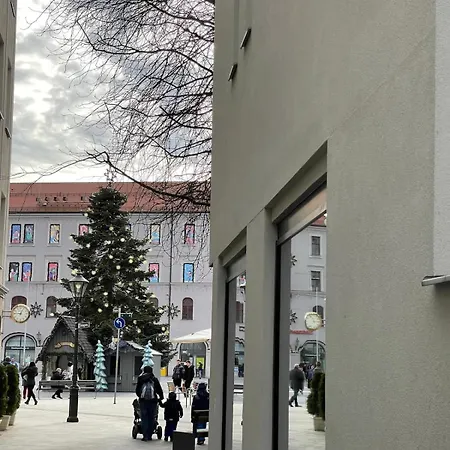 Apartamento Goldenkey Am Rathausplatz Neu Eingerichtet